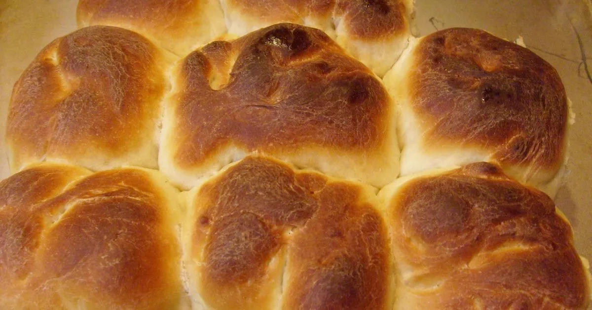 sourdough dinner rolls